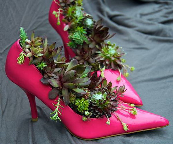 Transform your boots into eco-friendly planters