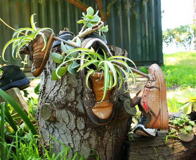 Herb garden using running shoes