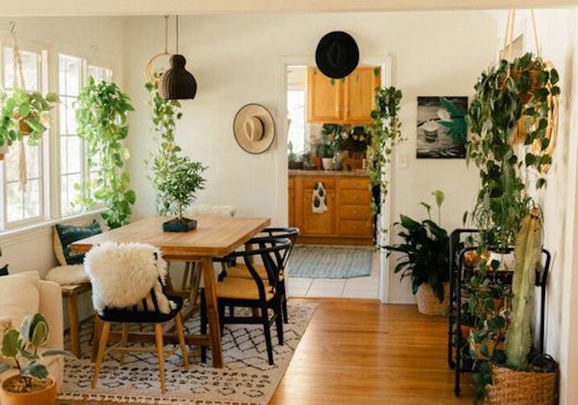 Floating Living Room Plants