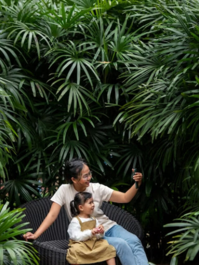 Bamboo Garden Landscape Ideas to Inspire you
